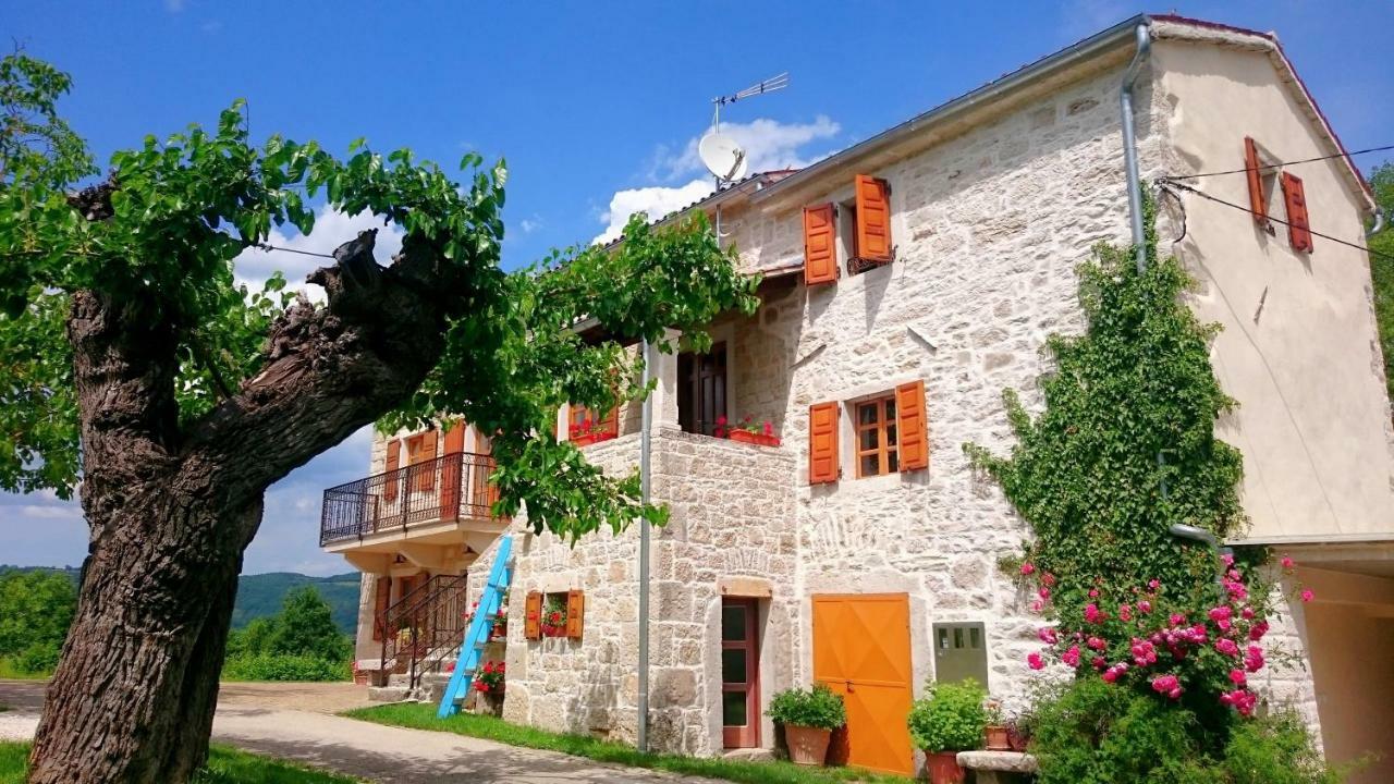 Villa Angela E Giovanni Vižinada Εξωτερικό φωτογραφία